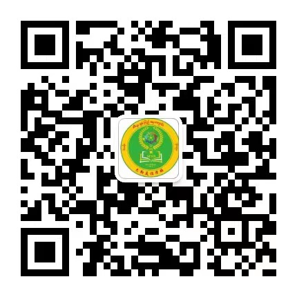 ဆီလူးမြန်မာကျောင်း